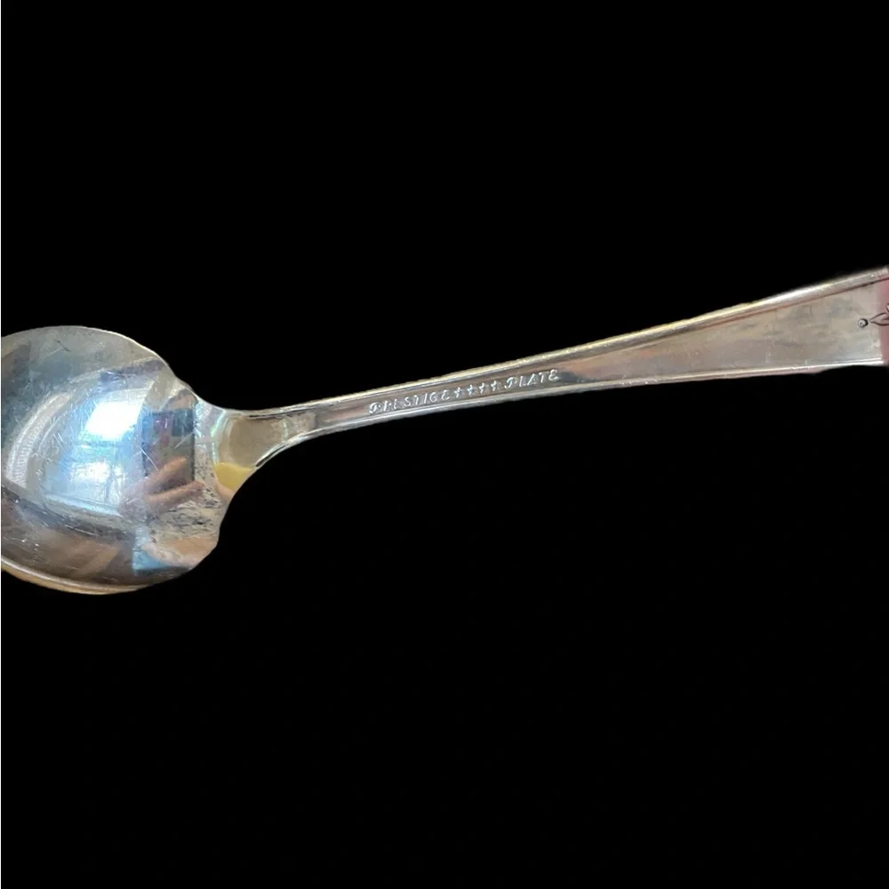 Vintage Sugar or Serving Spoon 